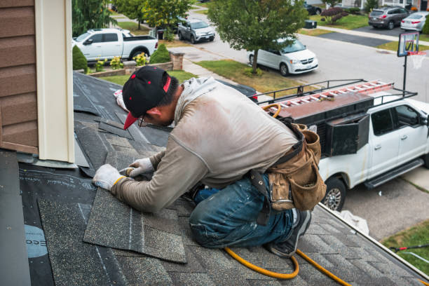 Professional Storm Damage Roof Repair technician working in Dalbo, MN